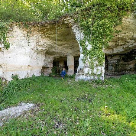 Logis De Bois Roche Vila Saint-Bonnet-sur-Gironde Exterior foto