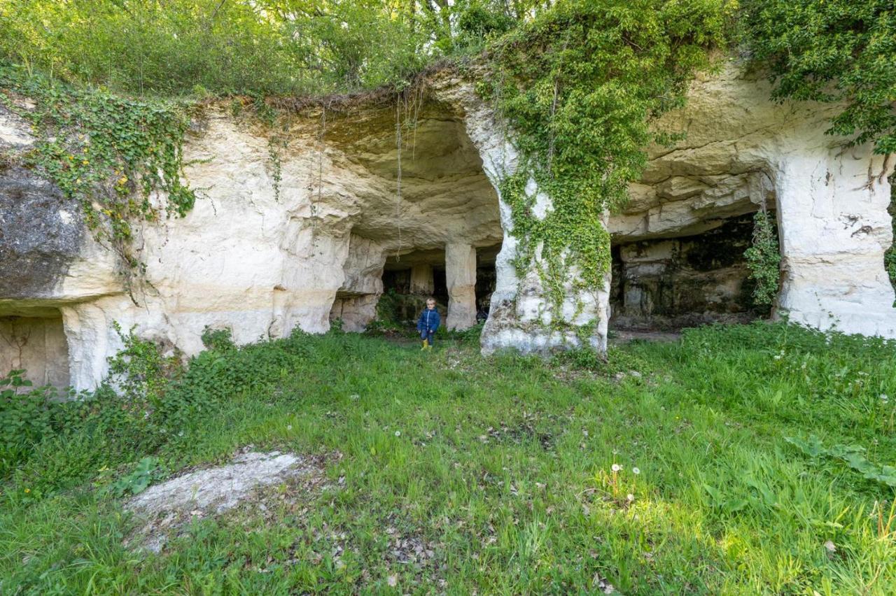 Logis De Bois Roche Vila Saint-Bonnet-sur-Gironde Exterior foto
