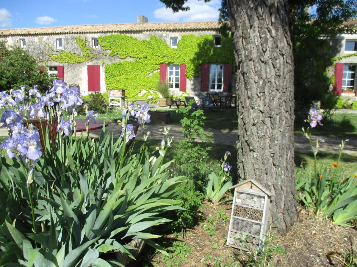 Logis De Bois Roche Vila Saint-Bonnet-sur-Gironde Exterior foto